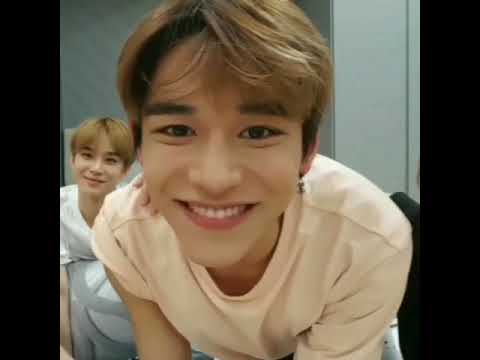 NCT Vines That Give Me Life