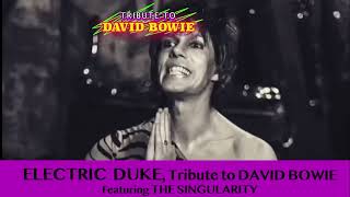 ELECTRIC DUKE, Tribute to DAVID BOWIE, Featuring The Singularity