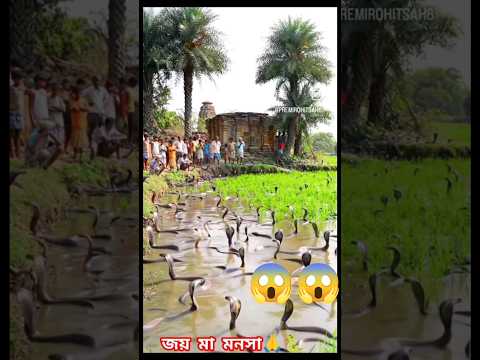 WoMeraNabiHai #IslamicStatus #IslamicVideo #ViralVideo #Trending #Shorts #Viral #amazin #shortsfeed