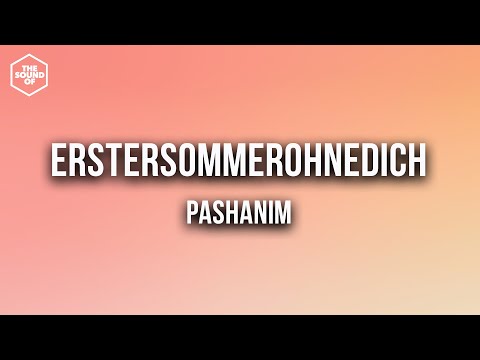 Pashanim - erstersommerohnedich (Lyric Video)