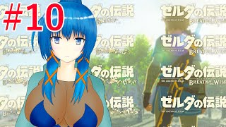 【ゼルダの伝説BoTW】ゼルダの伝説　今日はどこへ行こうかな【a#867】