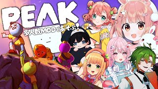 🎮 PEAK┊多人数MODで山に登る！【 #小花衣ももみ / #Vtuber 】