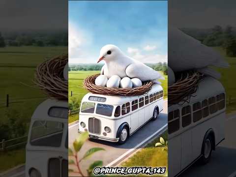 kabutar 🕊️ Ne banaya Bus ke upar ghar #ai #shorts #pigeon #shortsfeed