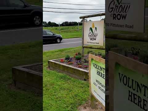 6,500 Pounds of Tomatoes = 26,000 Meals