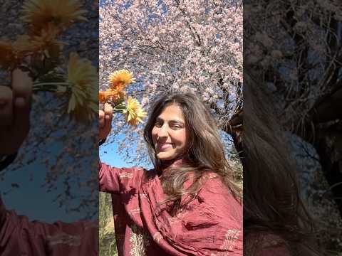 Khand lgdi 💖🤍 #song #music #punjabisong #remix #love #trending #viral #shorts