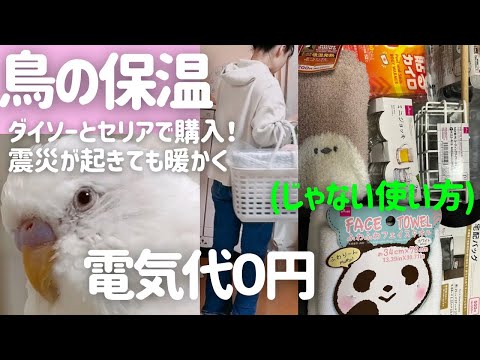 【インコの保温*電気代０円】即買い♡2個で100円*ダイソー宅配バッグで保温UP*ダイソーカイロ、セリア保護カバーで暖か♡100均*じゃない使い方♡😊🕊️