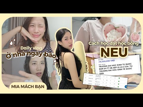 SINH VIÊN NĂM 4 Ở NHÀ TRÁNH BÃO | Daily vlog | Cách mình đạt học bổng và bảng điểm A+ #uni #neu