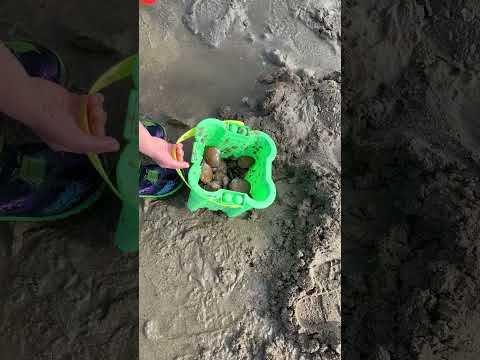 宿泊施設による動画