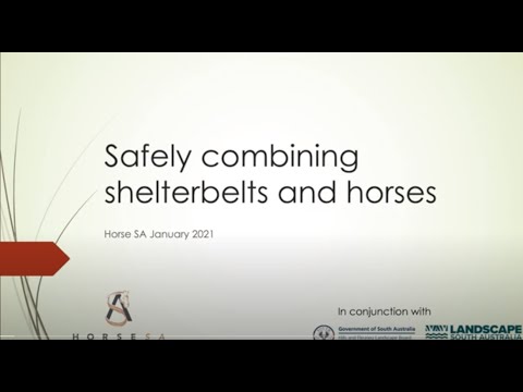 Safely Combining Shelterbelts & Horses