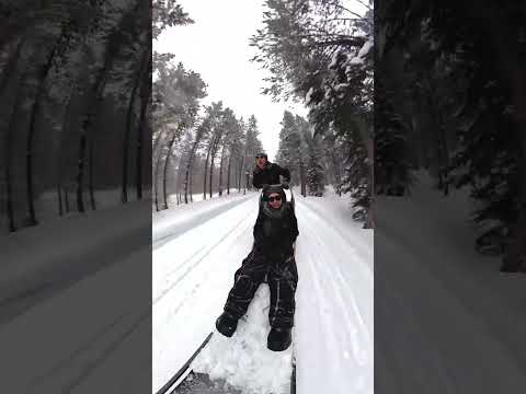 Merry Christmas! 🎉🎄🎊 #explore #winter #snow #dogsled #dogsledding #reels #fyp #foryourpage #2024