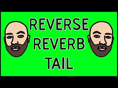 How to create a reverse reverb tail in Ableton Live ◀️🎶