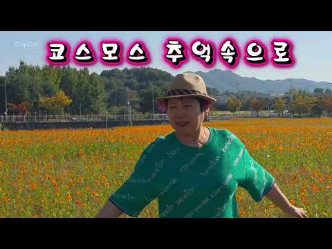[Playlist] 코스모스 피던 그 시절 동무들을 떠올리며 추억속으로