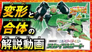 動画サムネイル