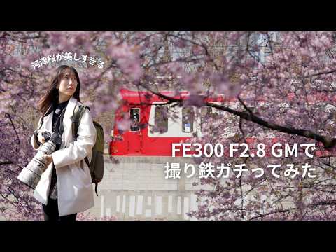【京急線】カメラ女子が、Sony FE300 F2.8 GMで撮り鉄ガチってみた!河津桜が満開の三浦海岸🌸