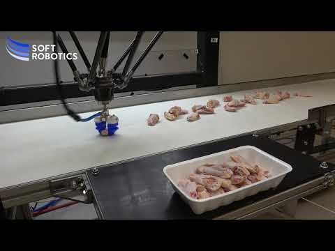 Soft Robotics’ best-in-class robotic technology, computer vision and AI platform have the potential to transform the food industry.  This unprecedented combination of robotic “hands,” “eyes” and “brains” enables, for the first time ever, the automation of bulk picking processes (e.g. bin picking) in the food supply chain.