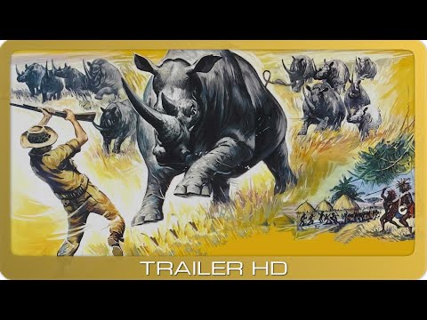 Rhino!'