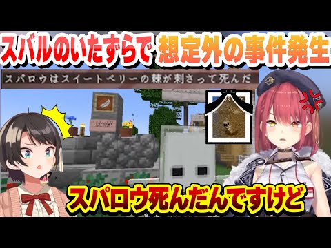 スバルのいたずらで喜ぶもベリーでスパロウが４んで態度が180度変わりスバルに復讐するマリン船長まとめ【宝鐘マリン/大空スバル/ホロライブ/切り抜き】