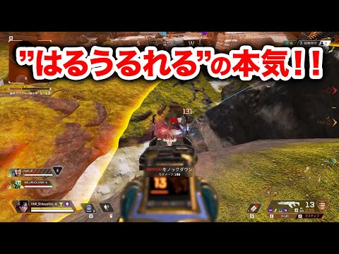 【APEX LEGENDS】自分で開催してるカスタムにガチで勝ちにいってみた【エーペックスレジェンズ】