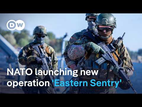 How does NATO plan to reinforce its eastern flank? | DW News