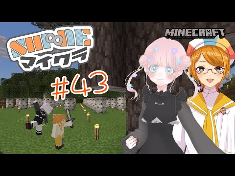 thumbnail_8lA--W8qKHk