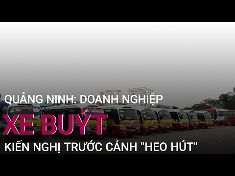 Quảng Ninh: Doanh nghiệp xe buýt kiến nghị trước cảnh 
