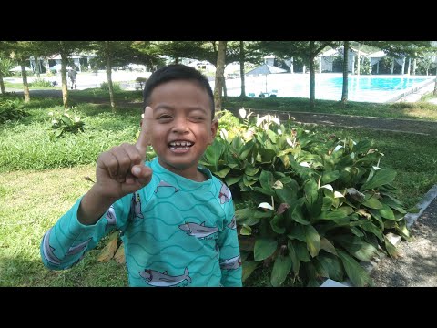 Mumtaaz Swimming Pool sedang live sekarang!