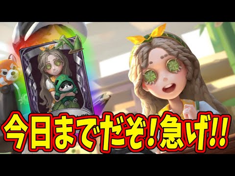 【第五人格】こんなめちゃくちゃかわいい少女の「パンダの仲間」がもう手に入らなくなるぞ！【IdentityⅤ】