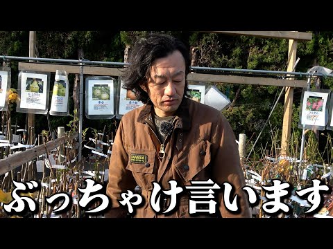 ガーデンガーデン仙台とコラボ撮影の件について【カーメン君】【園芸】【ガーデニング】