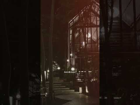 Hạnh phúc nhỏ bé vỡ nát … #nhachaymoingay #shorts