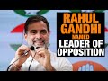 LIVE | Rahul Gandhi Named Leader of Opposition | Congress Gears Up for Speaker Election | News9