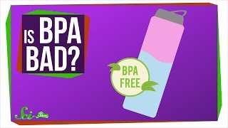 Should I Be Afraid of BPA?