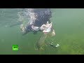Путин на подводной охоте