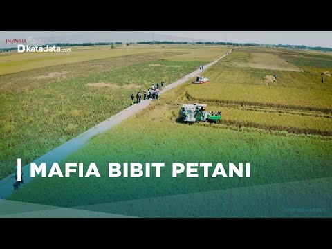 Erick Thohir Ungkap Ada Mafia Bibit di Sektor Pertanian | Katadata Indonesia