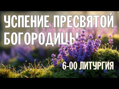 УСПЕНИЕ ПРЕСВЯТОЙ БОГОРОДИЦЫ 2024 | РАННЯЯ ЛИТУРГИЯ | ВАЛААМСКИЙ МОНАСТЫРЬ