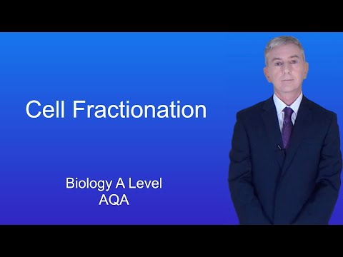 A Level Biology Revision “Cell Fractionation”