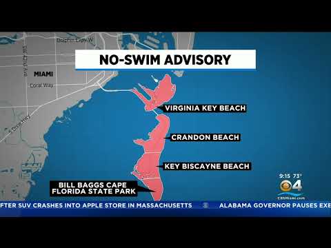 No Swim Advisory In Miami-Dade After Sewer Overflow From Heavy Rainfall