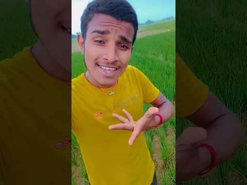 छुपाया हैबरसों से यह राज दिल में #song #upboysachin #bhojpurimusic #apnachannelcomedy #funny #raat