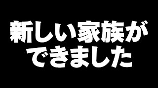 新しい家族ができました【猫元パト / #VTuber】