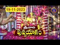 శ్రీవారి పుష్ప యాగం || Srivari Pushpayagam || Tirumala || 19-11-2023 || SVBCTTD