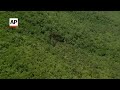 Aerial video shows jet crash site in rural Virginia