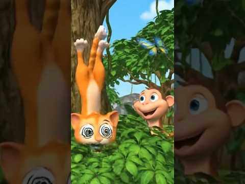 😁😁🤣🤣 #meowmeowsong #cat #lifeisbutadream #catvideos #funny #monkey 🤣🤣😁😁