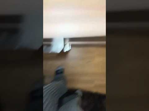 solo pueden comentar corazones blancos 💁🏻♀️🤍🤍#lukasurkijo #vecibanda #fedevigevani #ianlucas #like