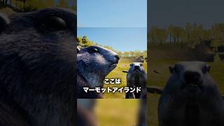 矛盾のかたまり。【Marmot Fight Club】
