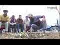 Farmers Protest: Growing Onion Crops Along Shambhu Border Footpath Amid Protest | News9  - 02:33 min - News - Video