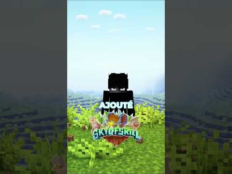 ⬆️ Rejoins le Discord en bio - J'ai crée un super serveur minecraft !