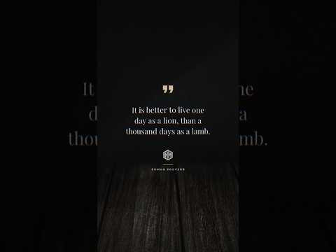#motivational quotes