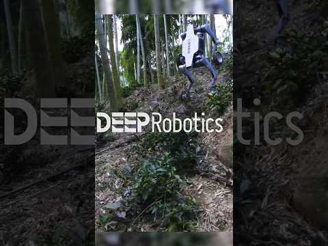 Extreme Off-Road DEEPRobotics Lynx All-Terrian Robot | New ...