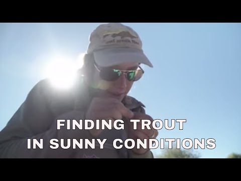 Finding Trout When It Is Sunny