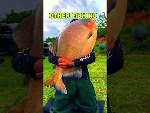 fishing 🦦 #fishing #trending #viral #viralvideos #shortsfeed
