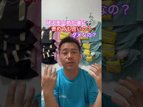 愛犬が吠えた後、止まったら褒めても良いの？？